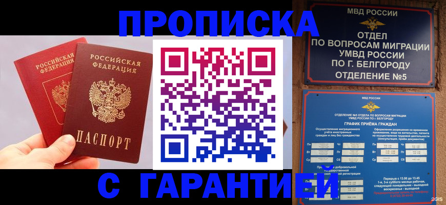 прописка 2025 в Сафоново